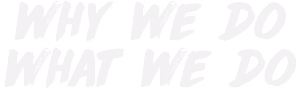 Why We Do What We Do